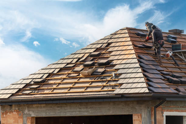 Best Roof Maintenance and Cleaning  in Maryvle, IL