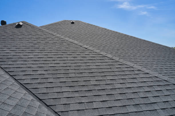 Best Solar Panel Roofing Installation  in Maryvle, IL
